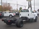 2023 Chevrolet Silverado 5500 Regular Cab DRW 4x2, Cab Chassis for sale #PH794825 - photo 6