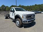 2025 Ford F-600 Regular Cab DRW 4x4 Cab Chassis for sale #F50543 - photo 3