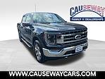 2022 Ford F-150 SuperCrew Cab 4x4 Pickup for sale #FNFB12829 - photo 1