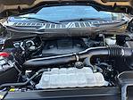 2023 Ford F-150 SuperCrew Cab 4WD Pickup for sale #FPFB31047 - photo 26