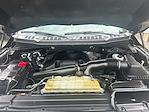 2020 Ford F-150 SuperCrew Cab 4x4 Pickup for sale #HLFA24414 - photo 26