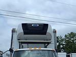 Used 2019 International MV Refrigerated Body for sale #230864 - photo 7