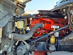 Used 2020 International LT Cummins X15, Signature Semi Truck for sale #256534 - photo 8