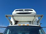 Used 2019 International DuraStar 4300 Refrigerated Body for sale #811323 - photo 7