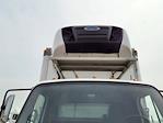 Used 2019 Freightliner M2 106 Refrigerated Body for sale #860875 - photo 7