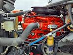Used 2019 International LT Cummins X15, Signature Semi Truck for sale #868719 - photo 9