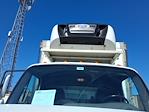 Used 2019 Freightliner M2 106 Refrigerated Body for sale #876750 - photo 7