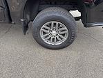 2024 Chevrolet Colorado Crew Cab 2WD Pickup for sale #B4689 - photo 13