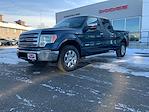 2014 Ford F-150 SuperCrew Cab 4x4, Pickup for sale #24J345BB - photo 7