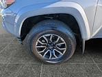 2020 Toyota Tacoma Double Cab 4x4 Pickup for sale #J-A535530 - photo 14