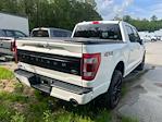 2023 Ford F-150 SuperCrew Cab 4x4 Pickup for sale #2F2585 - photo 13