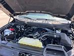 2023 Ford F-150 SuperCrew Cab 4x4 Pickup for sale #7F2714 - photo 29