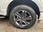 2023 Ford F-150 SuperCrew Cab 4WD Pickup for sale #2F2802 - photo 25