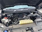 2023 Ford F-150 SuperCrew Cab 4WD Pickup for sale #2F2813 - photo 38