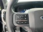 2023 Ford F-350 Crew Cab DRW 4x4 Pickup for sale #3F2618 - photo 14