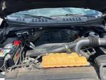 2016 Ford F-150 SuperCrew Cab 4x2 Pickup for sale #3F2661 - photo 35