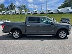 2016 Ford F-150 SuperCrew Cab 4x2 Pickup for sale #3F2661 - photo 7