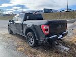 2023 Ford F-150 SuperCrew Cab 4WD Pickup for sale #3F2853 - photo 18