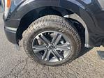 2023 Ford F-150 SuperCrew Cab 4WD Pickup for sale #3F2853 - photo 35