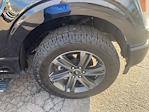 2023 Ford F-150 SuperCrew Cab 4WD Pickup for sale #3F2853 - photo 38