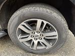 2023 Ford Expedition 4WD SUV for sale #4F2772 - photo 30