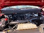 2022 Ford Expedition 4x4 SUV for sale #7F2727 - photo 37