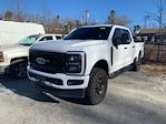 2024 Ford F-250 Crew Cab 4WD Pickup for sale #7F2842 - photo 12