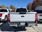 2024 Ford F-250 Crew Cab 4WD Pickup for sale #8F2781 - photo 20