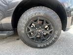 2024 Ford Expedition 4x4 SUV for sale #A34069A - photo 30
