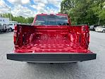 2025 Ford F-150 SuperCrew Cab 4x4 Pickup for sale #A98451 - photo 25