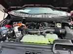2025 Ford F-150 SuperCrew Cab 4x4 Pickup for sale #A98451 - photo 29