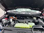 2025 Ford F-150 SuperCrew Cab 4x4 Pickup for sale #A98459 - photo 29