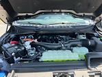 2025 Ford F-150 SuperCrew Cab 4x4 Pickup for sale #A98513 - photo 29