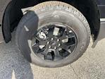 2025 Ford F-150 SuperCrew Cab 4WD Pickup for sale #B24419X - photo 30