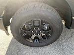 2025 Ford F-150 SuperCrew Cab 4WD Pickup for sale #B24419X - photo 31