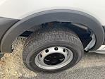 2025 Ford Transit 150 Low Roof RWD Empty Cargo Van for sale #B28567 - photo 8