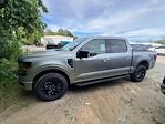 2025 Ford F-150 SuperCrew Cab 4x4 Pickup for sale #B39348 - photo 12
