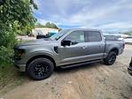 2025 Ford F-150 SuperCrew Cab 4x4 Pickup for sale #B39348 - photo 31