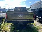 2025 Ford F-150 SuperCrew Cab 4x4 Pickup for sale #B52202 - photo 23