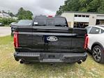 2025 Ford F-150 SuperCrew Cab 4x4 Pickup for sale #B74085 - photo 22