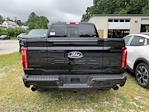 2025 Ford F-150 SuperCrew Cab 4x4 Pickup for sale #B74085 - photo 24