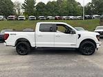 2024 Ford F-150 SuperCrew Cab 4x4, Pickup for sale #B76544 - photo 6