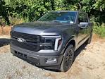 2025 Ford F-150 SuperCrew Cab 4x4 Pickup for sale #B88237 - photo 11