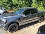 2025 Ford F-150 SuperCrew Cab 4x4 Pickup for sale #B88237 - photo 15