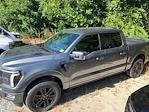 2025 Ford F-150 SuperCrew Cab 4x4 Pickup for sale #B88237 - photo 17