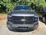 2025 Ford F-150 SuperCrew Cab 4x4 Pickup for sale #B88237 - photo 7