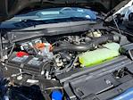 2025 Ford F-150 SuperCrew Cab 4WD Pickup for sale #B96246 - photo 33