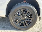 2025 Ford F-150 SuperCrew Cab 4WD Pickup for sale #B96988 - photo 35