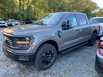 2025 Ford F-150 SuperCrew Cab 4WD Pickup for sale #C18769 - photo 10