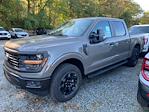 2025 Ford F-150 SuperCrew Cab 4WD Pickup for sale #C18769 - photo 11
